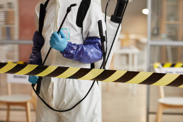 Professional Biohazard Cleanup technician working in Braintree, MA