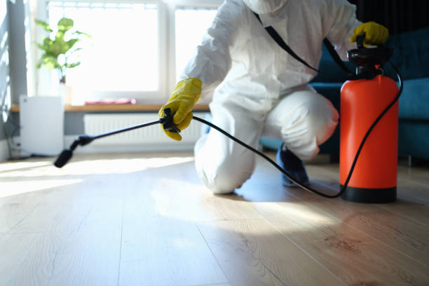 Reliable Biohazard Cleanup contractor in Braintree, MA by Trauma Clean Pros